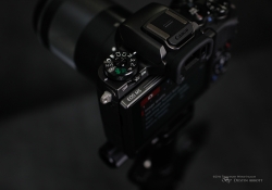 EOS M5 Samples-8