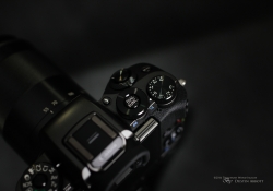 EOS M5 Samples-9