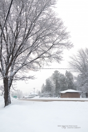 Another Snowstorm-4