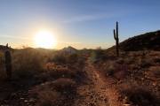 Arizona Samples-10
