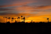 Arizona Samples-25