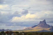 Arizona Samples-29