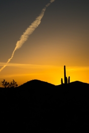 Arizona Samples-3