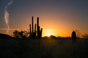 Picturing Arizona