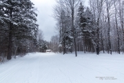 Winter Wonderland-13
