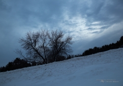 Winter Landscapes