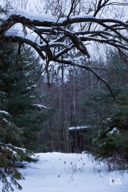 Tamron 85-5