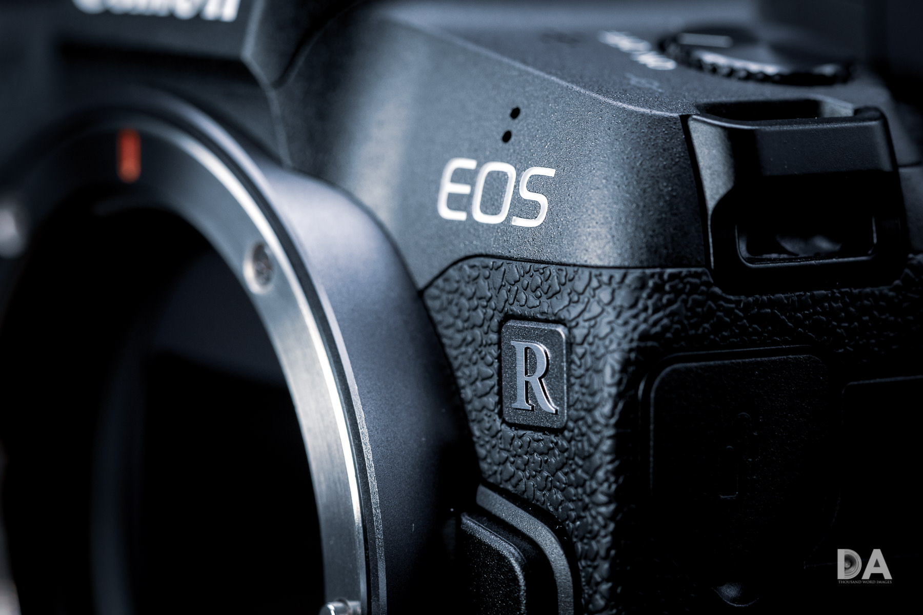 Canon EOS R Review - DustinAbbott.net