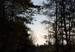 37-Deep-Shadows-1