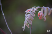 Autumn-Shots-13
