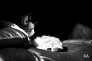 Autumn-Shots-14