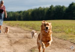 20-Action-Sequence-9