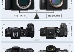05-canon-eos-rp-vs-sony-a7-iii