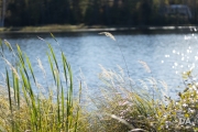 Autumn Rhapsody-12