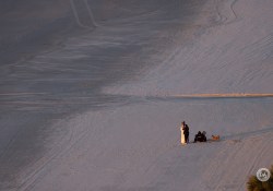 Final-Samples-6