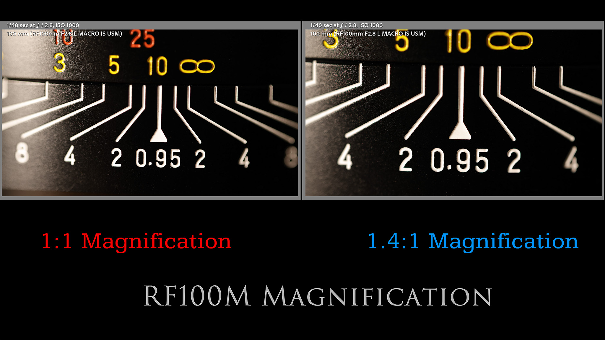 Canon RF 100mm F2.8L Macro IS USM Review - DustinAbbott.net