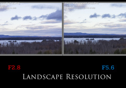 41-Landscape-1