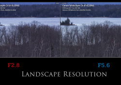 41-Landscape-2
