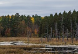 42-35mm-Real-World-2