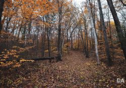 29-Real-World-20mm