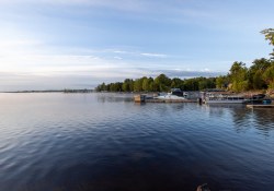 36-REal-World-Sharp-1