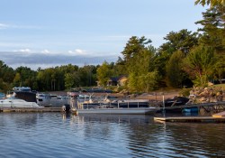 36-REal-World-Sharp-2