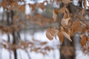 57-Gallery-2-of-18