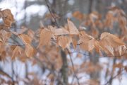 57-Gallery-3-of-18