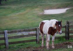 32-General-Samples-3