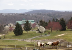 32-General-Samples-4