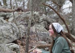 32-General-Samples-5