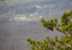 32-General-Samples-7