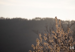 32-General-Samples-8