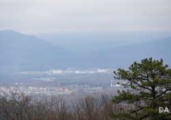 Canon-RF-24-240-Samples-10