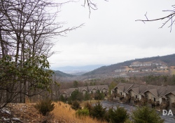 Canon-RF-24-240-Samples-14