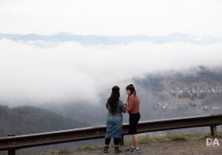 Canon-RF-24-240-Samples-16