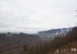 Canon-RF-24-240-Samples-17