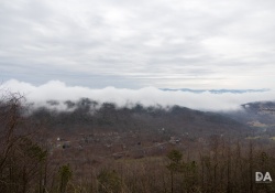 Canon-RF-24-240-Samples-18