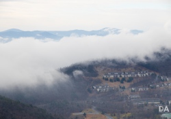 Canon-RF-24-240-Samples-19