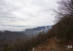 Canon-RF-24-240-Samples-20