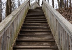 Canon-RF-24-240-Samples-22