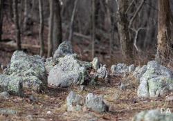 Canon-RF-24-240-Samples-27