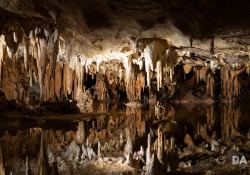 Canon-RF-24-240-Samples-29