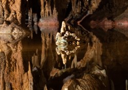 Canon-RF-24-240-Samples-30