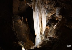 Canon-RF-24-240-Samples-31