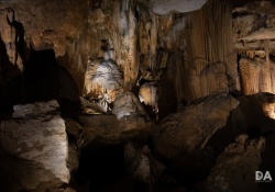 Canon-RF-24-240-Samples-33