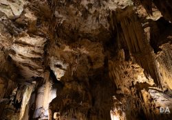 Canon-RF-24-240-Samples-34