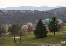 Canon-RF-24-240-Samples-39