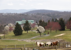 Canon-RF-24-240-Samples-42