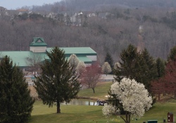 Canon-RF-24-240-Samples-43